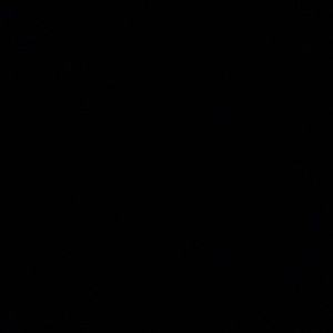 Meet your Posher, Trevaughn